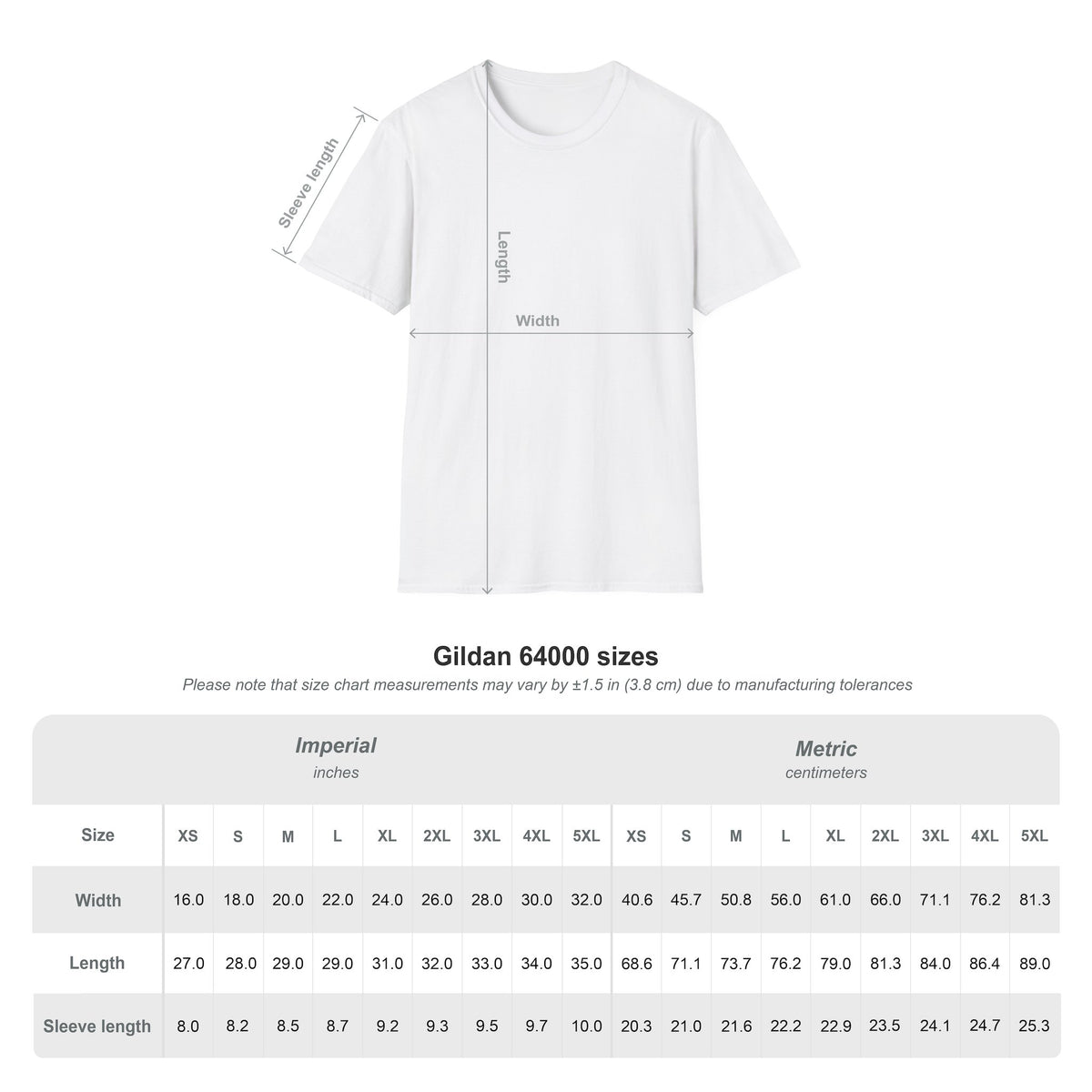 Delusional But Self-Aware T-Shirt