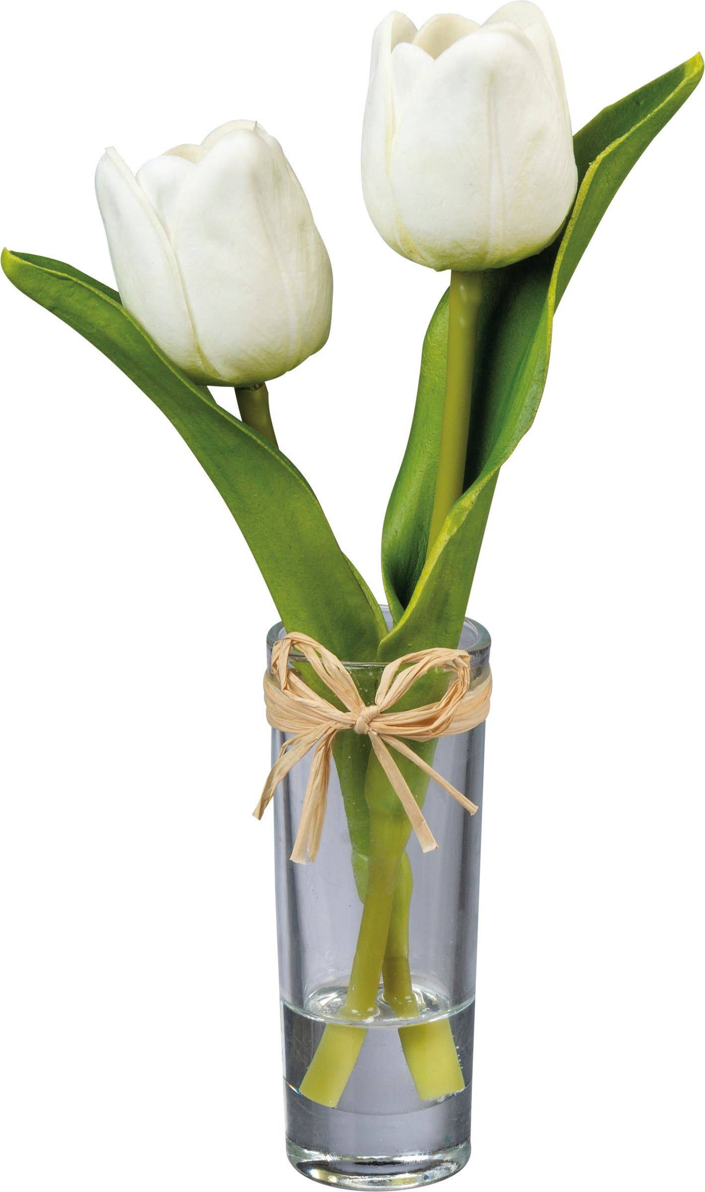 Two artificial real touch white tulips in a clear glass vase with a beige ribbon on a white background