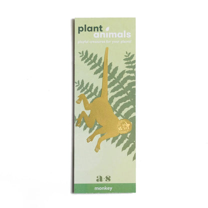 Plant Animal - Spider Monkey, houseplant decoration