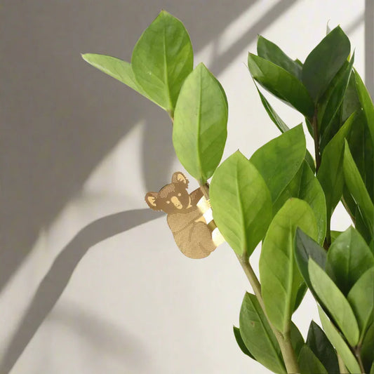 Plant Animal - Koala Bear, Plant Hugger Decoration