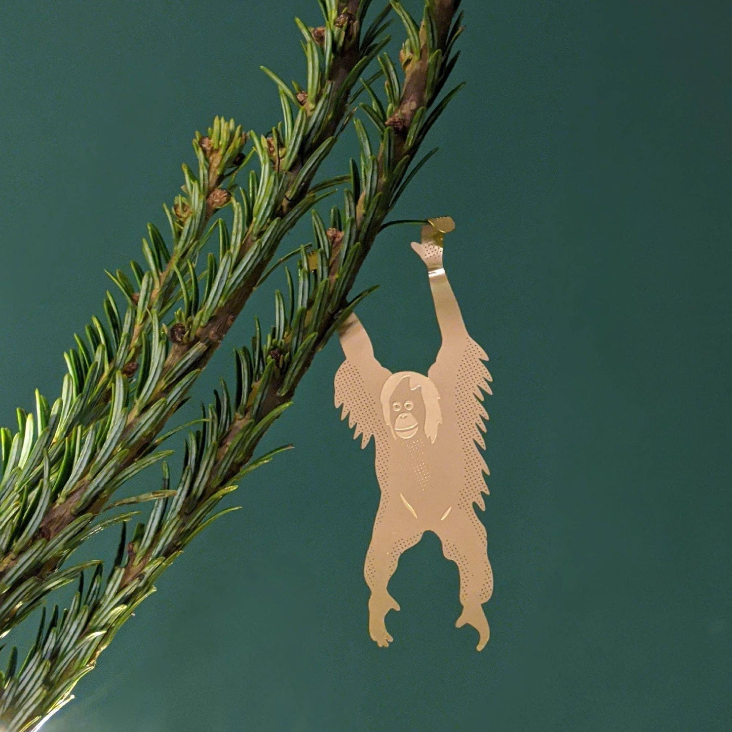 Orangutan Plant Animal