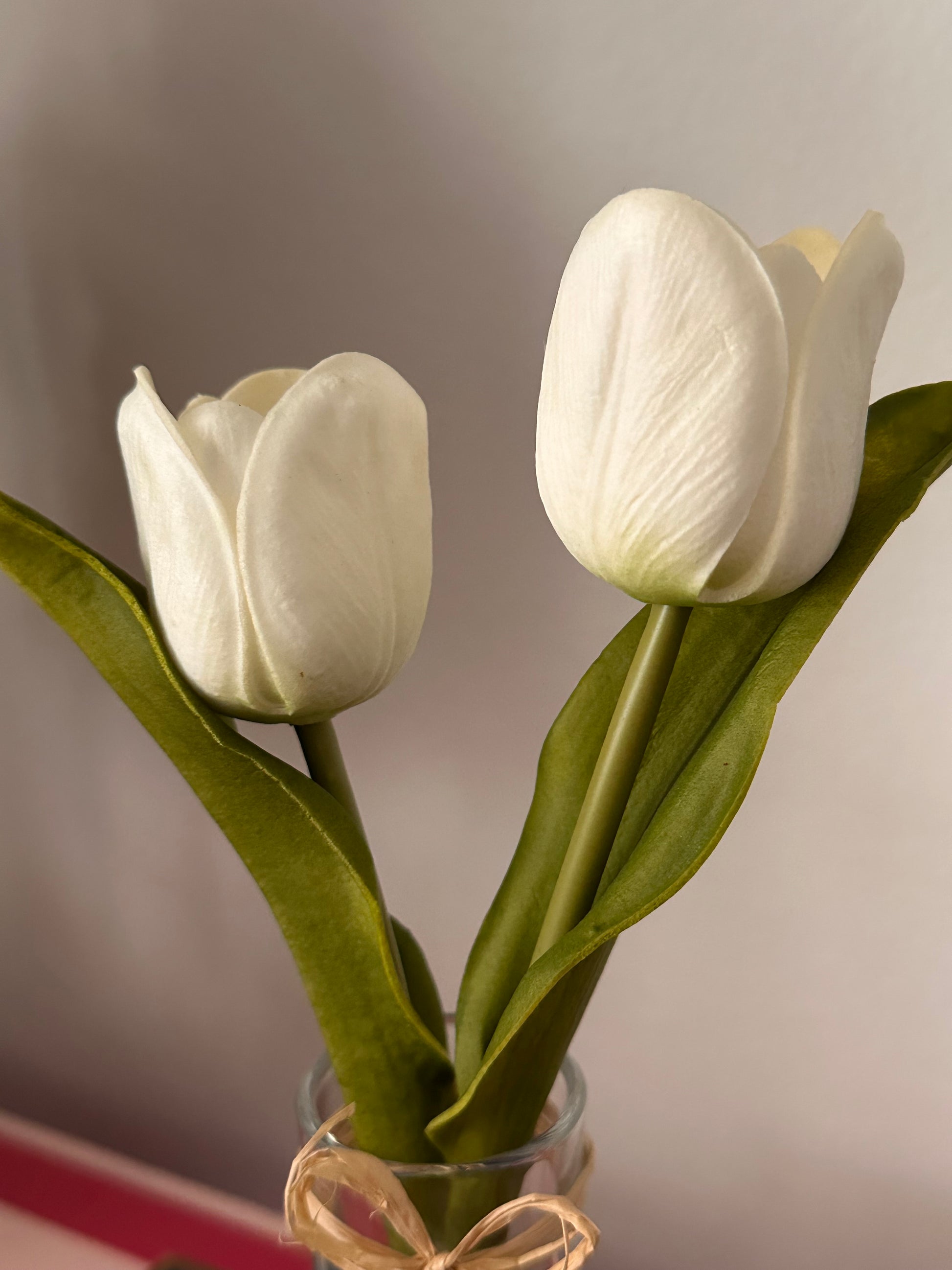 Close-up of white tulips with green leaves on a blurred background