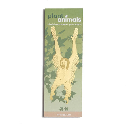 Orangutan Plant Animal