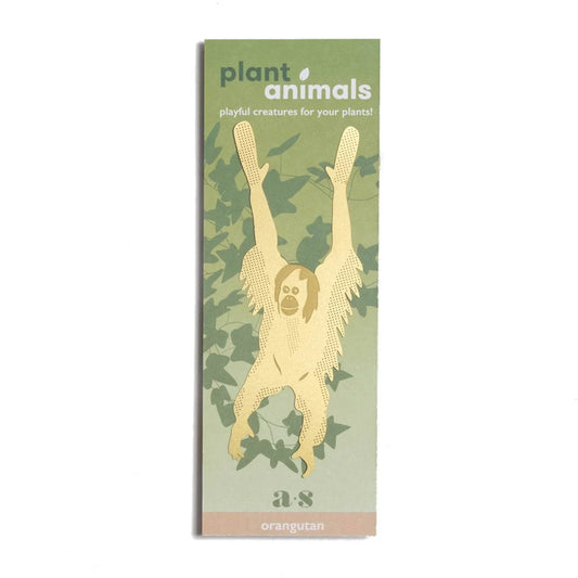 Orangutan Plant Animal