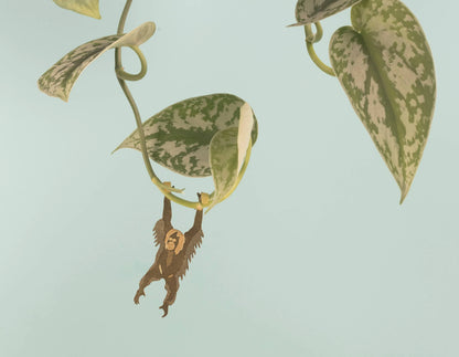 Orangutan Plant Animal