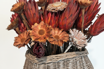 Close-up detail of dried botanical arrangement showing layered deep burgundy-red Protea repens cone heads with pointed bracts, warm amber open daisy-form solar wood blooms, and a single pale blush wood flower above the woven basket rim