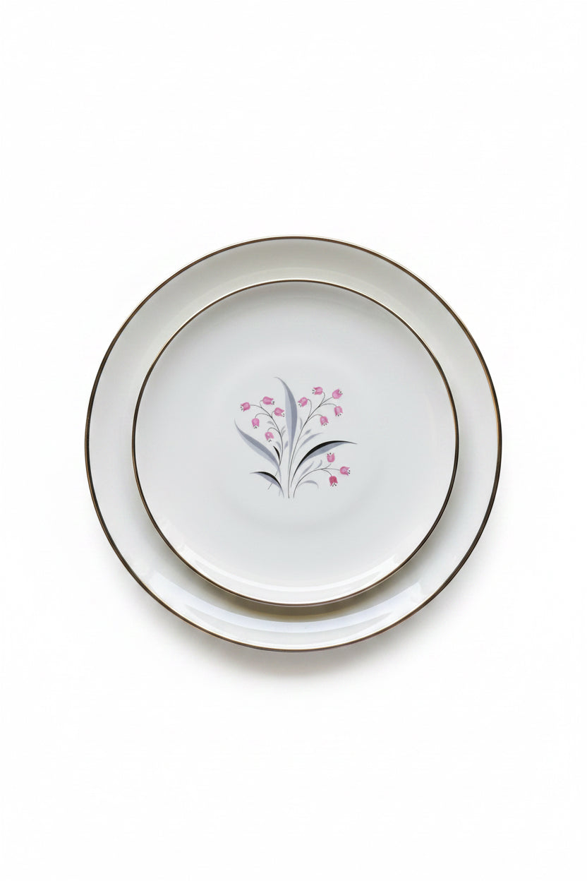 Overhead view of vintage 1950s Princess China Flair dinner and salad plates with pink bell flower motif and silver rim