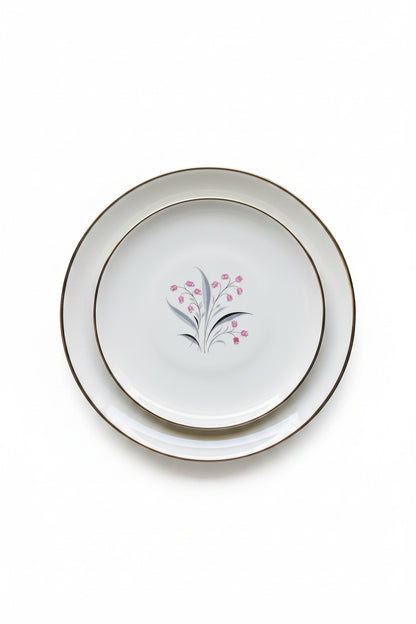 Overhead view of vintage 1950s Princess China Flair dinner and salad plates with pink bell flower motif and silver rim