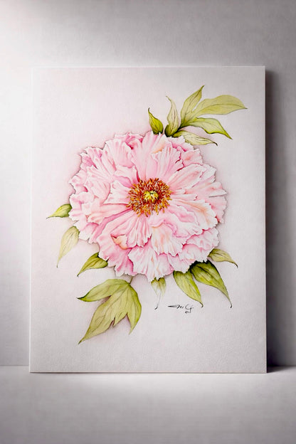 Pink Peony — Original Watercolor by MG | Estate Collection No. 4