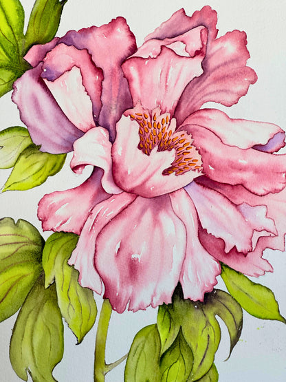 hand painted in Jacksonville Florida
Detailed illustration of a pink flower with green leaves on a white background
