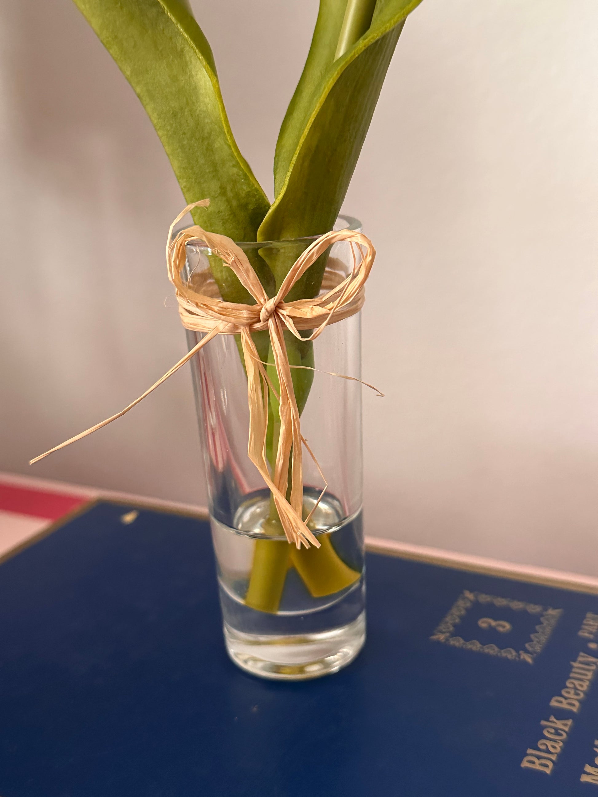 Glass bottle with a gold ribbon and green leaves against a blurred background
