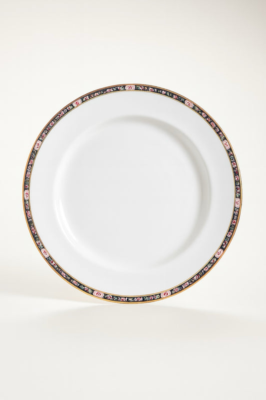 Set of Four Vintage “Royal Ivory” Dinner Plates by John Maddock & Sons Ltd