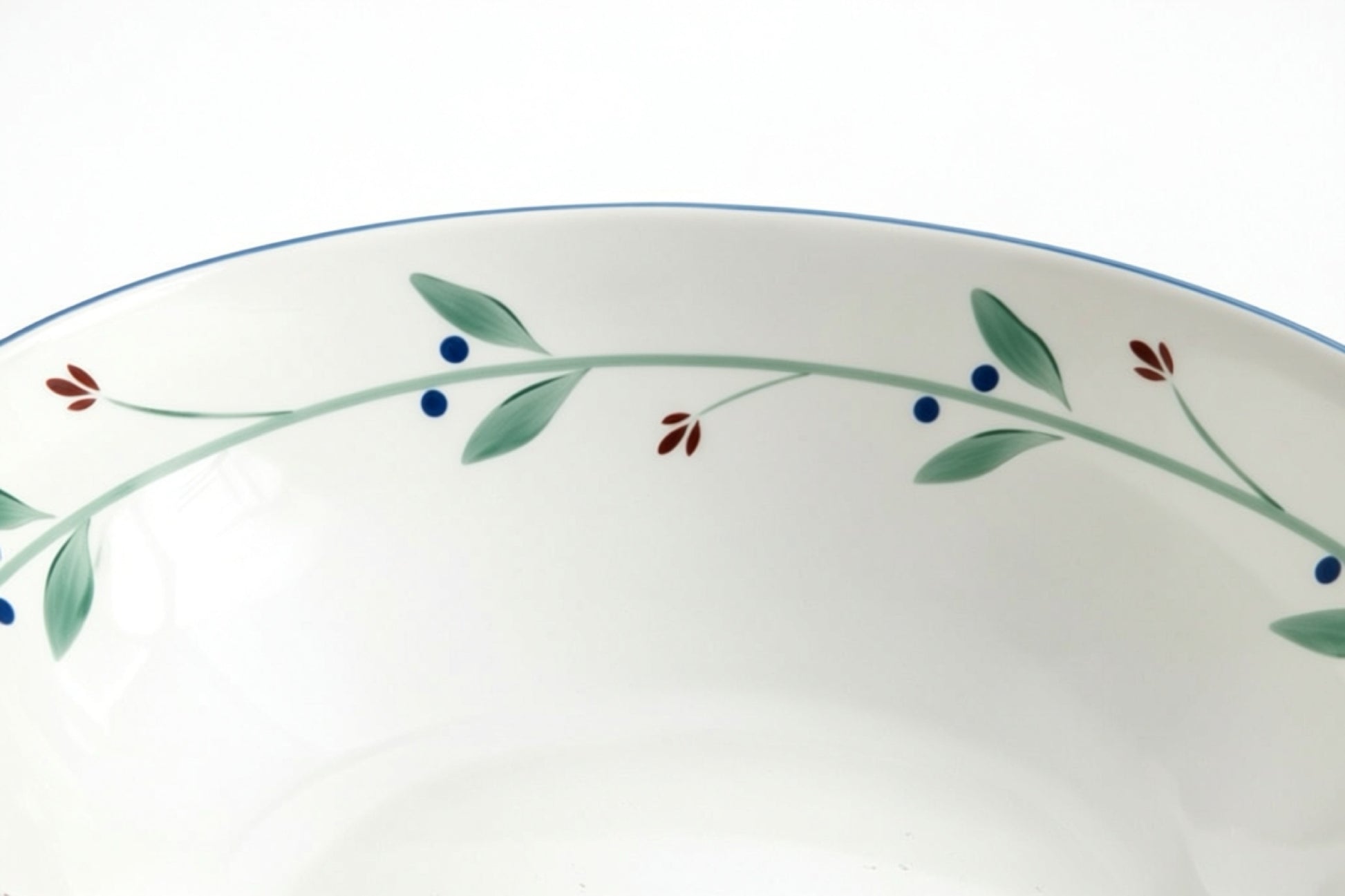 Detailed view of Dansk Portugal bowl rim with hand-painted green vine, blue berries, and red floral accents, bordered by thin blue line.