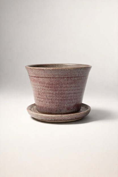 Ceramic planter with saucer on a light gray background