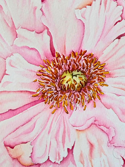 Pink Peony — Original Watercolor by MG | Estate Collection No. 4