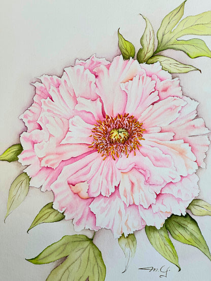Pink Peony — Original Watercolor by MG | Estate Collection No. 4