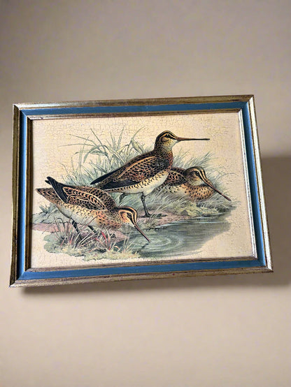 Italian Florentia Game Birds Print