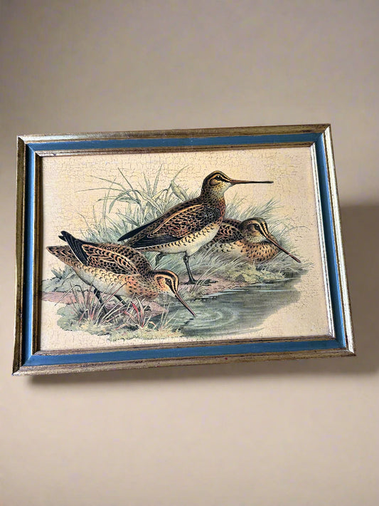 Italian Florentia Game Birds Print