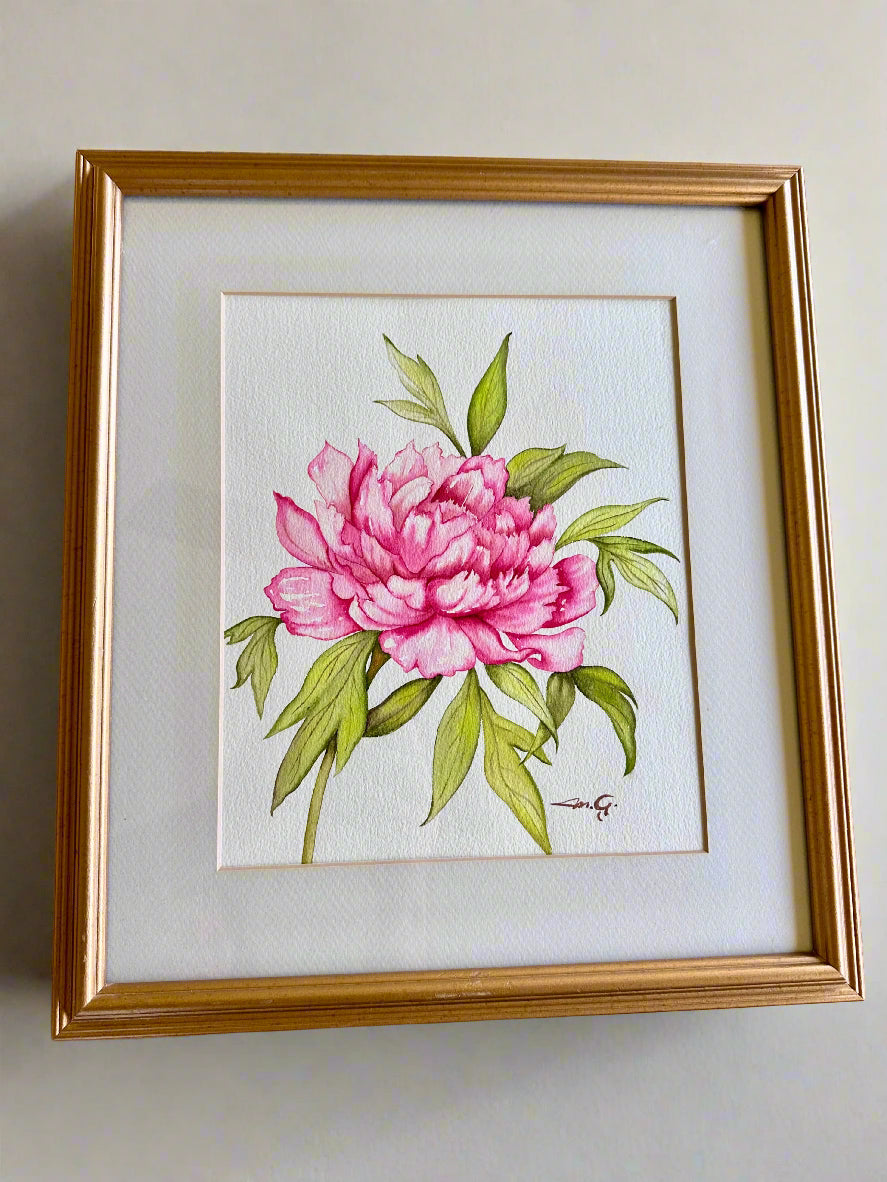 Watercolor Peony – Framed Botanical Art