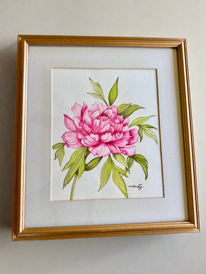 Watercolor Peony – Framed Botanical Art