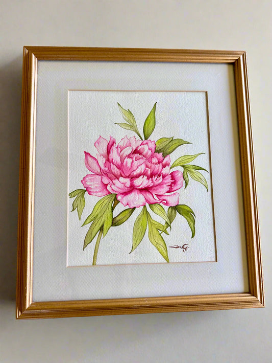 Watercolor Peony – Framed Botanical Art