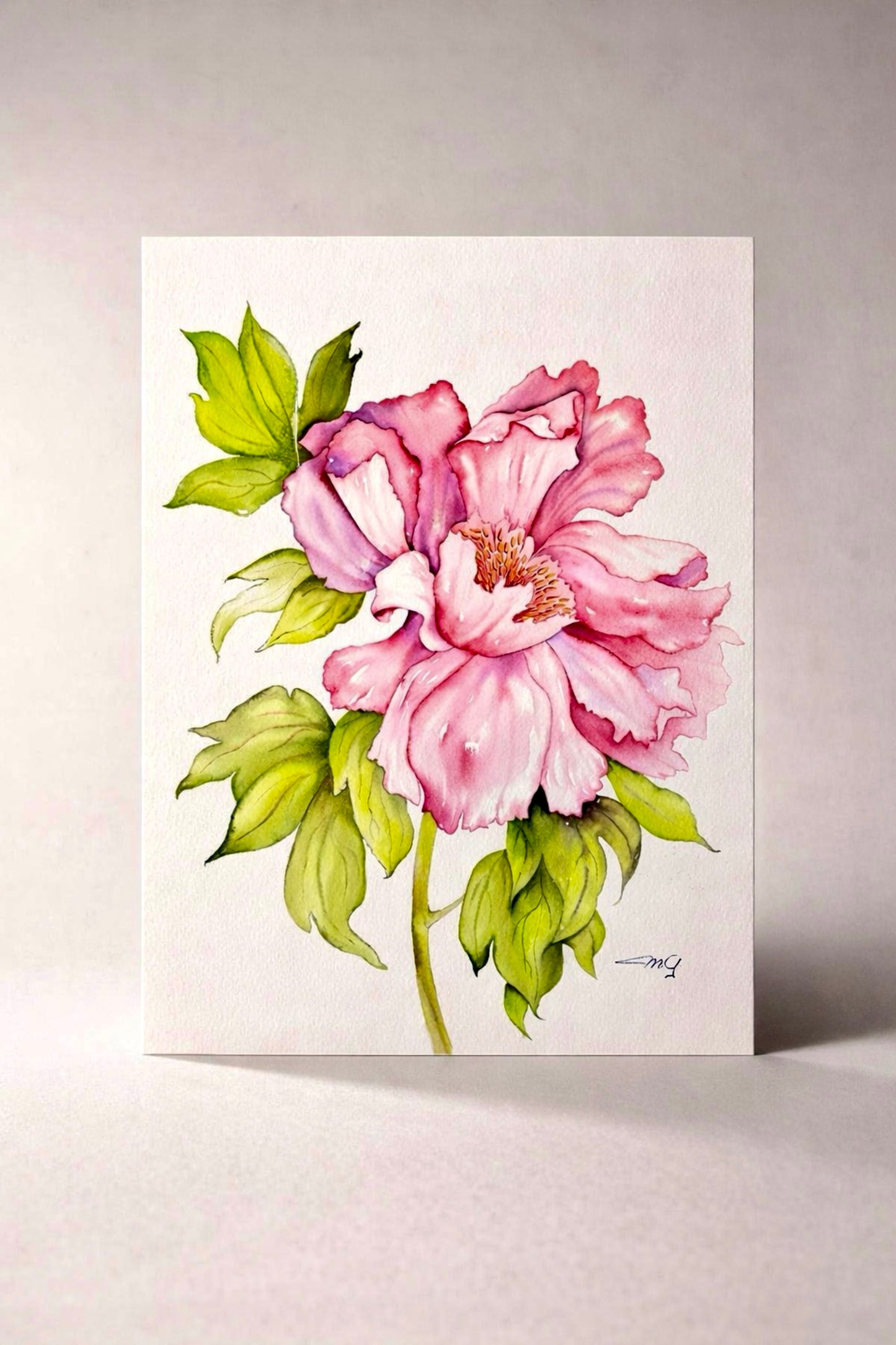 Red Tree Peony is an original watercolor painting — hand-titled, hand-signed, and numbered by the artist. 