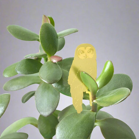 Plant Animal - Owl