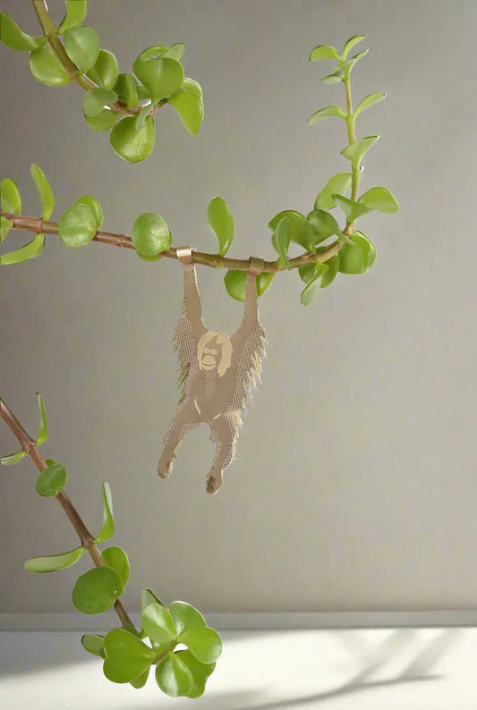 Orangutan Plant Animal