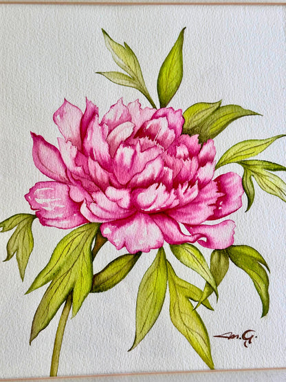 Watercolor Peony – Framed Botanical Art