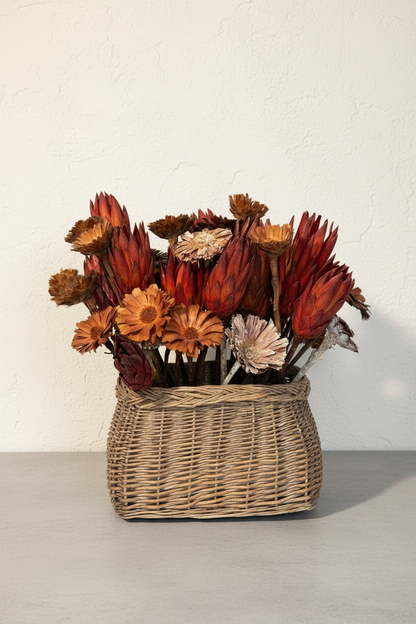 Full dried botanical arrangement of deep burgundy Protea repens cone heads and warm amber solar wood daisy blooms in a low oval hand-woven grey-wash reed basket, front view on light grey surface against white textured wall