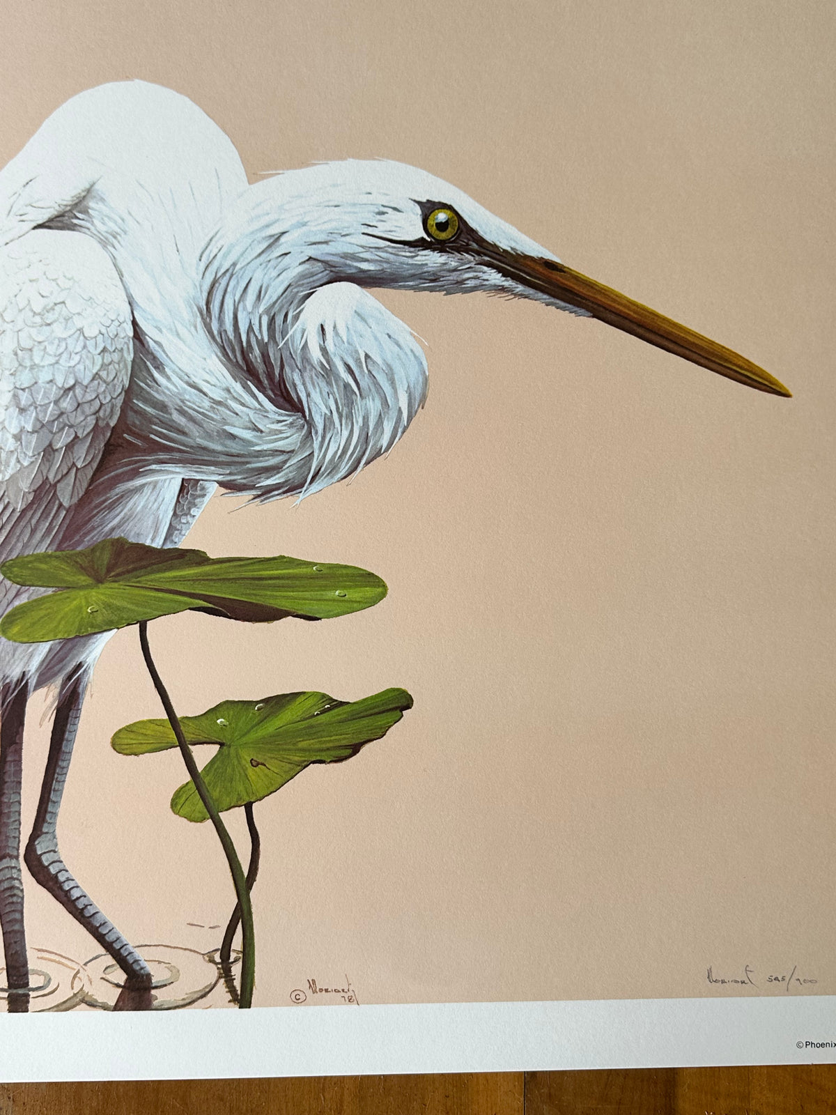 A detailed vertical close-up of a 1980 realist wildlife art print showcasing a Great Egret among water lily pads. The composition highlights the intricate white feather textures, sharp yellow eye, and long beak of the wading bird. The lower center features the artist's plate signature "Moriarty '78", and the lower right displays the pencil signature and limited edition number 545/900 on a warm tan backdrop.