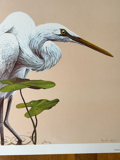 A detailed vertical close-up of a 1980 realist wildlife art print showcasing a Great Egret among water lily pads. The composition highlights the intricate white feather textures, sharp yellow eye, and long beak of the wading bird. The lower center features the artist's plate signature "Moriarty '78", and the lower right displays the pencil signature and limited edition number 545/900 on a warm tan backdrop.