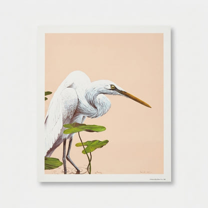 A full-view product shot of an unframed vintage 1980 limited edition wildlife lithograph print by the artist Moriarty, displayed loose on a natural wood surface. The artwork depicts a majestic white Great Egret bird standing gracefully in rippling water among green lily pads. The background is a solid, clean, minimalist warm neutral taupe and sand color. The print is in mint condition with sharp corners and bright white paper borders.
