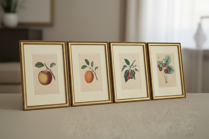 Vintage Botanical Collection — All Four