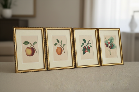 Vintage Botanical Collection — All Four