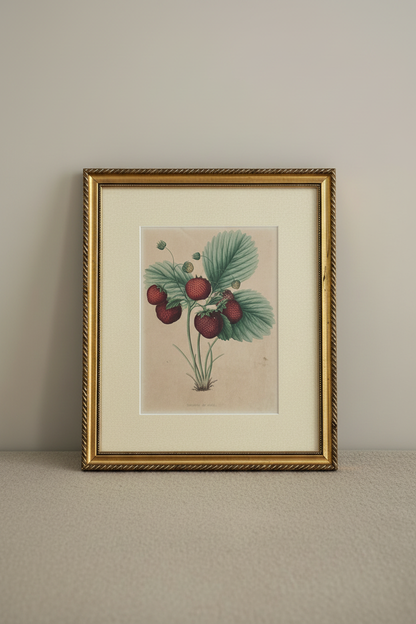 Vintage Strawberry Botanical — Revised